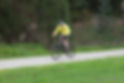 Rail Trail Track