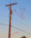Figure 3: Sensors communicate to a Collector on a nearby pole.