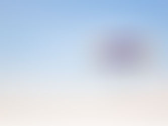 Is your child a “parachute kid”?