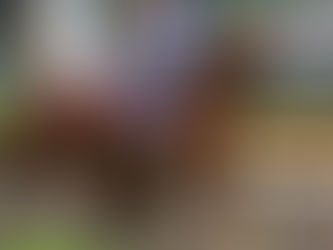 Game Online Balap Kuda S128