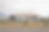 Picture of a house