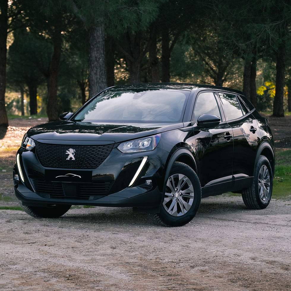 Miniatura: PEUGEOT 2008 1.2 PURETECH ACTIVE PACK