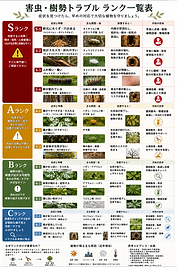 ChatGPT Image 2026年5月12日 07_12_09.png