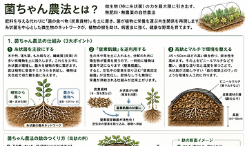 ChatGPT Image 2026年5月12日 07_08_42.png