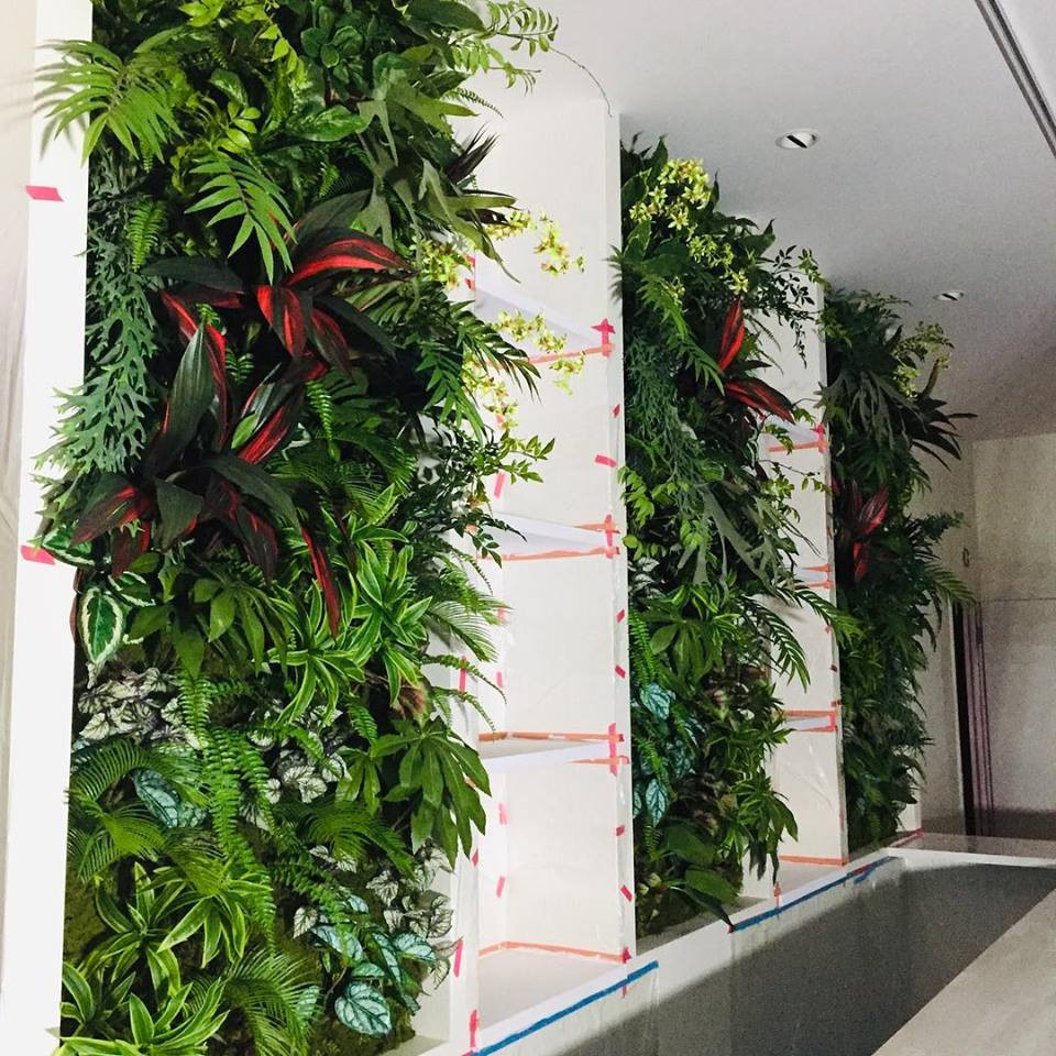 室内壁面緑化