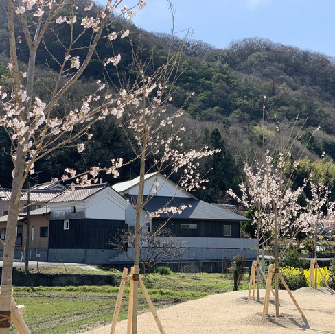 社員や地域住人に喜ばれる工場の緑化計画