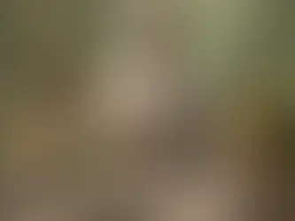 How to Clean and Care for Your Buddha Statue