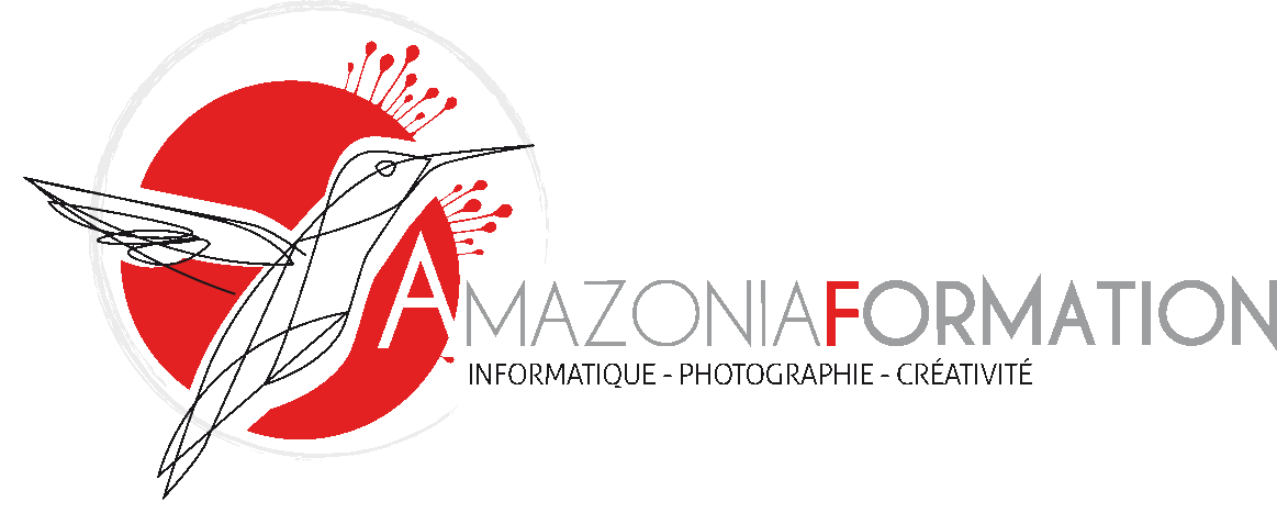 formation photographique et informatique apple en guyane et en france
