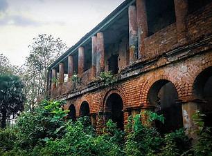 54435721_2661225077227744_77056628450813