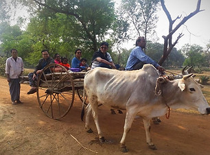 48428380_985740424944279_500207053385708