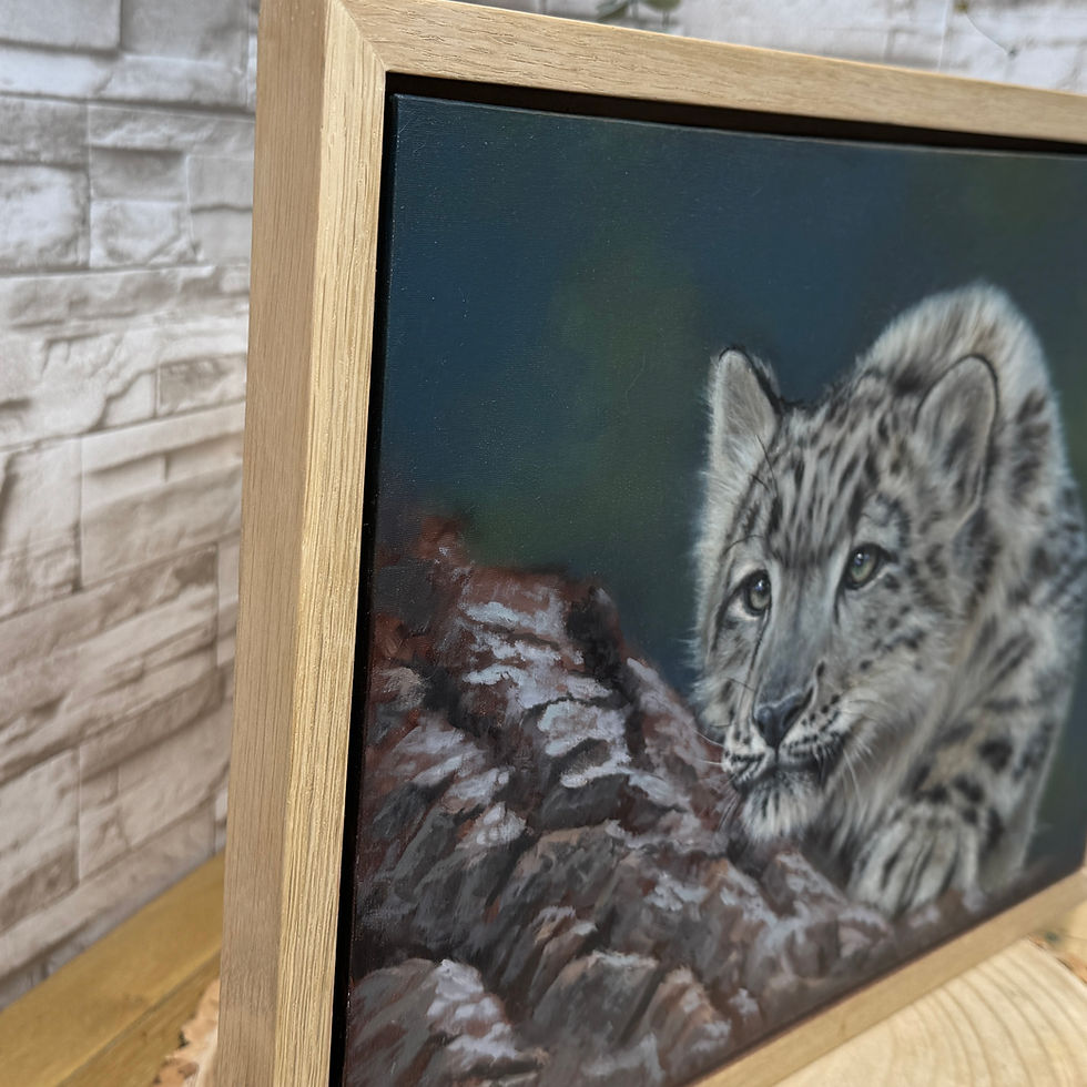 Thumbnail: Snow leopard cub resting on rock, original oil painting with soft tones and calm, focused expression side view
