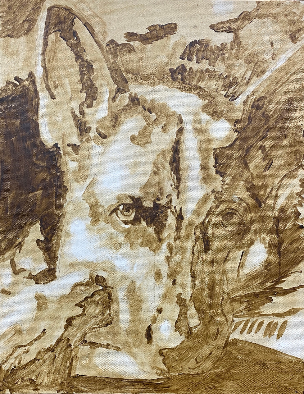 Alsatian Oil Pet Portrait by Marion Dutton  underpainting