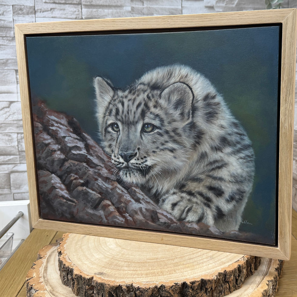 Thumbnail: Snow leopard cub resting on rock, original oil painting with soft tones and calm, focused expression side view