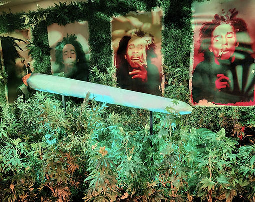 Bob Marley 
One Love Experience