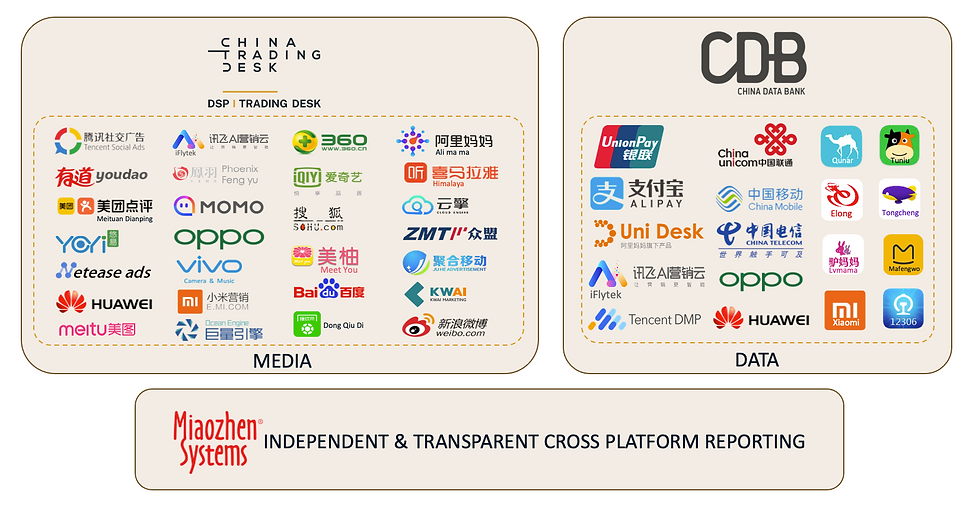 Programmatic Media Data Analytics.png