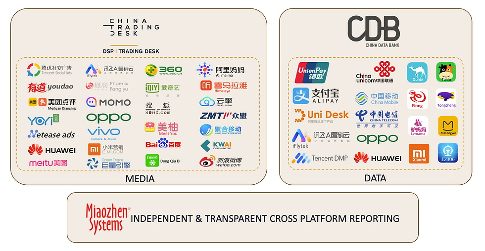 Programmatic Media Data Analytics.png