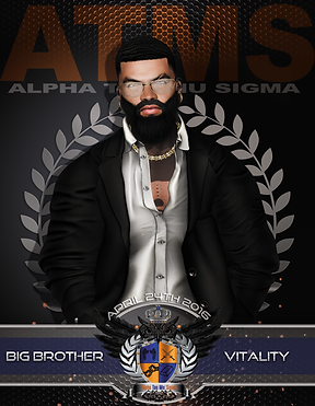 ATMS BIG BROTHER VITALITY.png