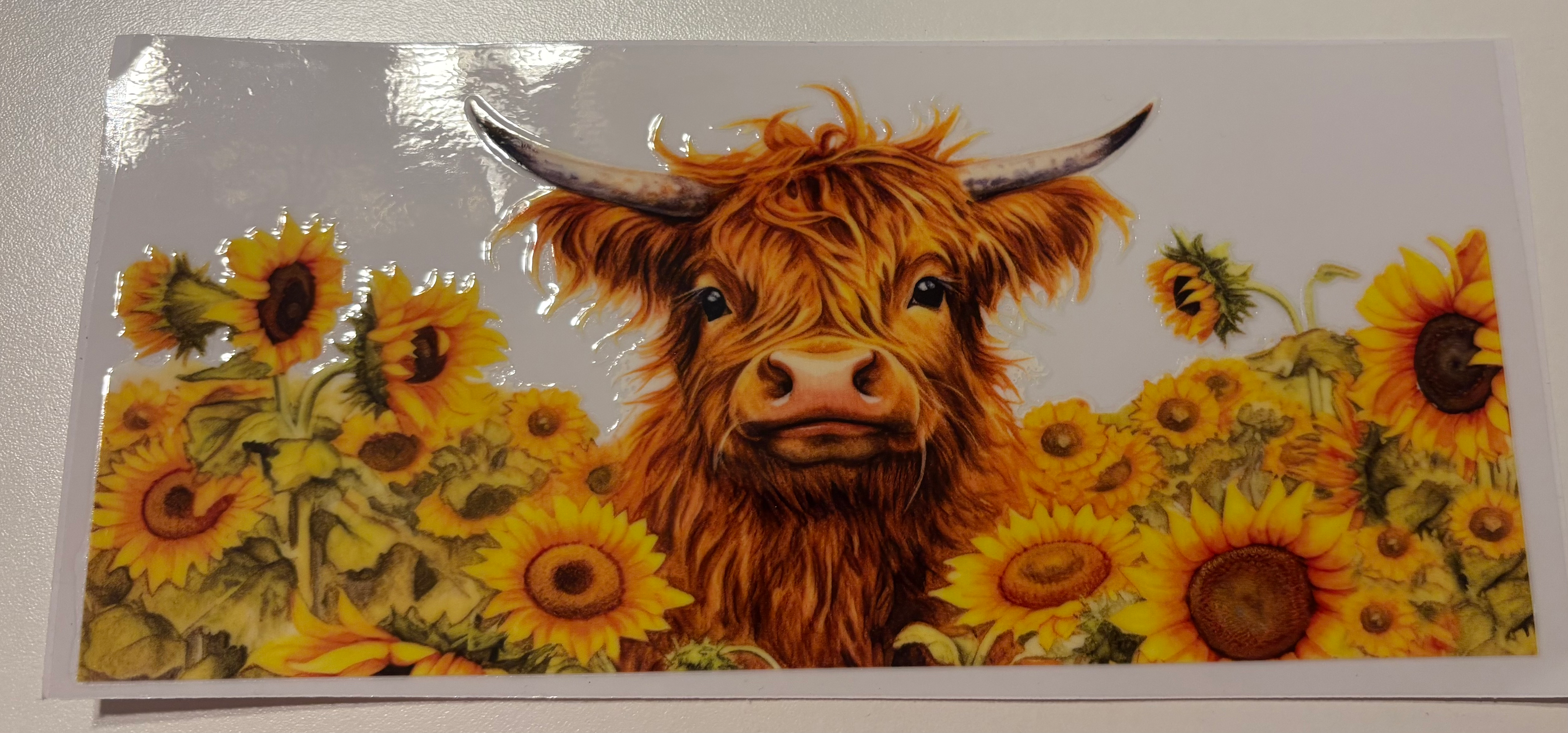 Sunflower Cow