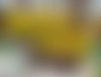 Na turnaji ve volejbalu bereme stříbro