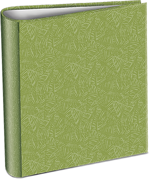3-anillos-colores-verde.png