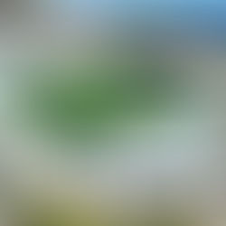 Aerial view of an empty stadium with a green soccer field and surrounding stands. "Welcome Bienvenidos" text displayed. City and ocean in background.