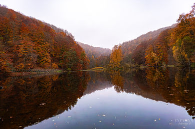 Autumn’s colorful beauty fills Söderåsen, Sweden