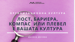 Лост, бариера, компас или плевел е вашата организационна култура