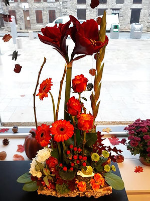 45265409_775031336170516_572857388558712