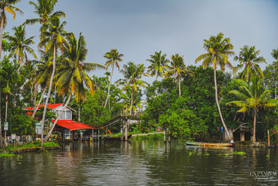 Alappuzha backwaters flowing quietly beneath endless coconut trees, their reflections dancing on the water, Kerala, En Paarvai Photography