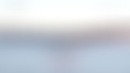 Синдром на Щуката