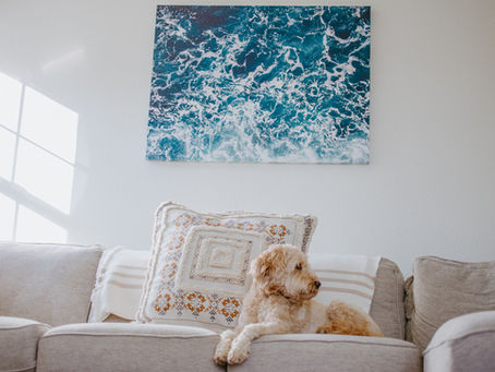 Living Room Inspo Featuring Niche Canvas