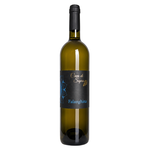 LLV Cava di Sopra Falanghina 800 x 800 px Sem Bandeira.png