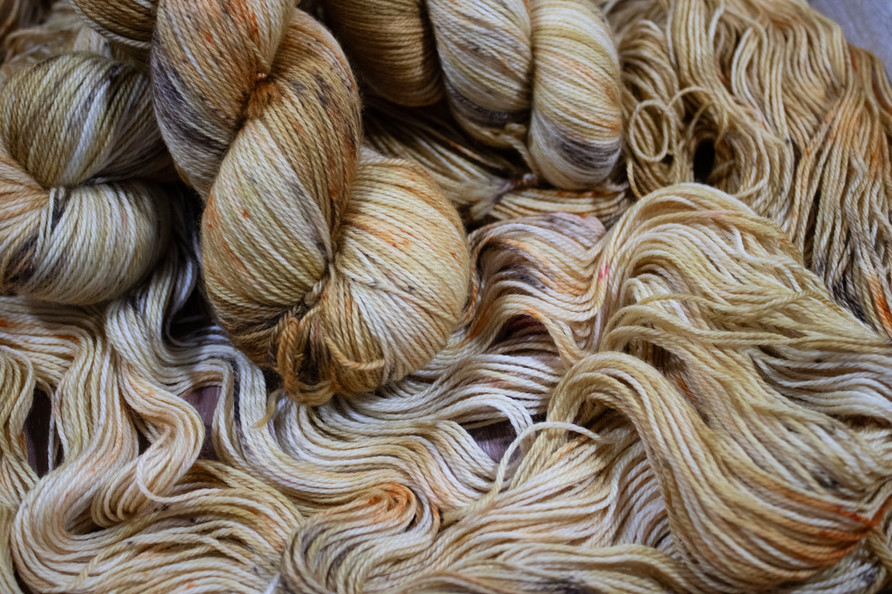 phat girlz fibre fingering weight spitting camel stock photo