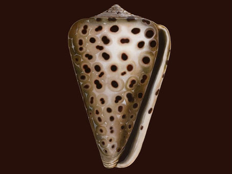 Pluto Is Not A Planet, Except When You Want It To Be