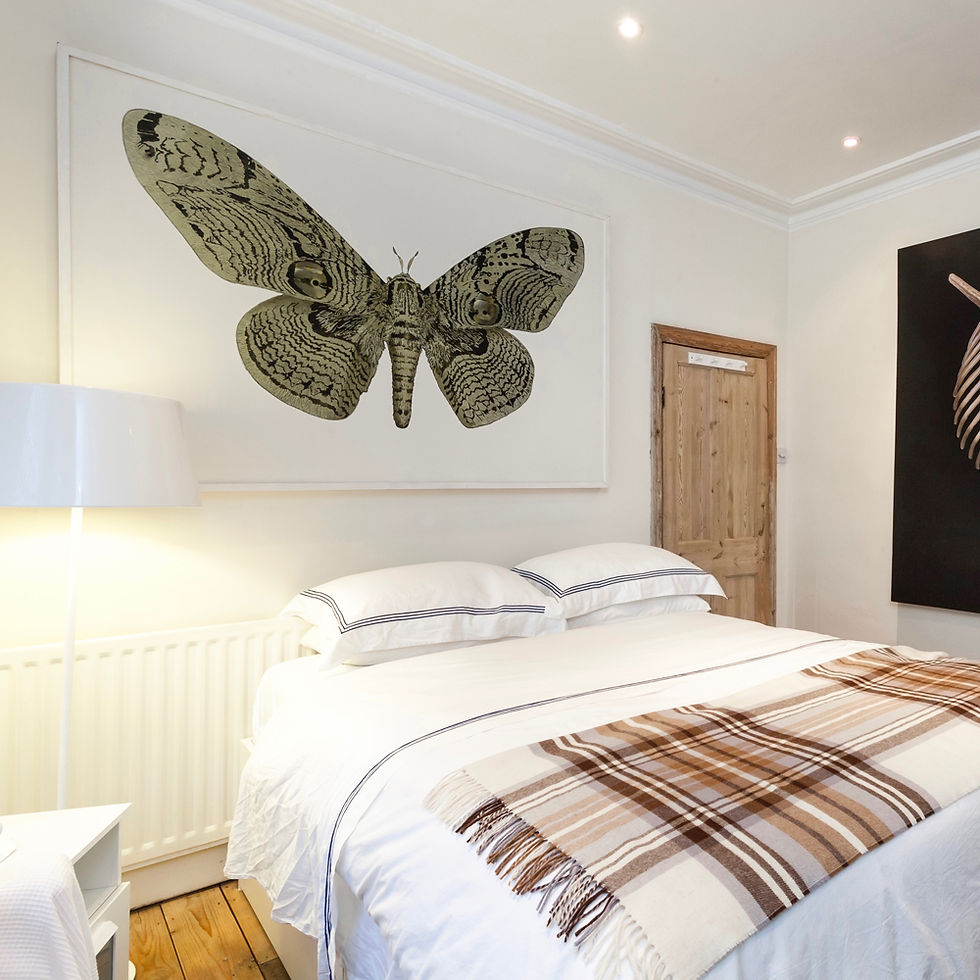 'Rorschach' by Mauricio Ortiz