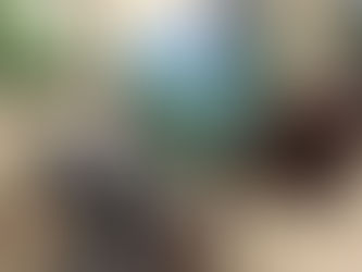 How Deirdre Hyde's Painting Helped Las Cruces Biological Station, Costa Rica