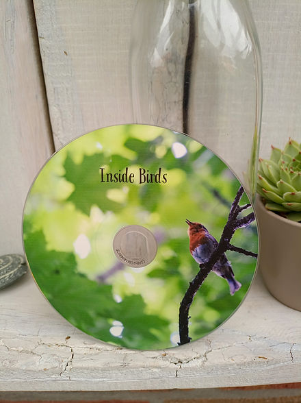 Inside_Birds_CD_im_Regal.jpg