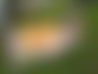 Our scarecrow spreads some spooky spirit in the award-winning festival