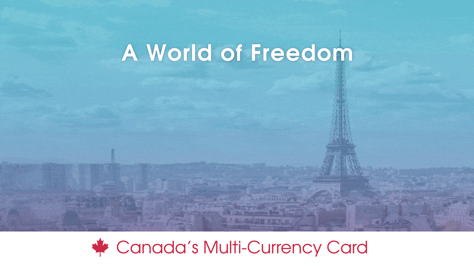 OneCard_FeaturesOpening_GIF_Loop_960x540