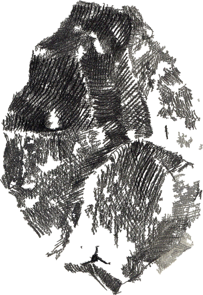 img20220228_19101228.png
