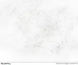 43067735.webp