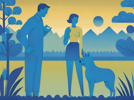 So now what? Lessons Learned.