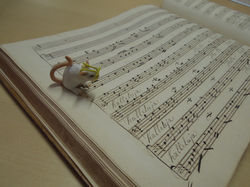 Nigel on the Hallelujah Chorus