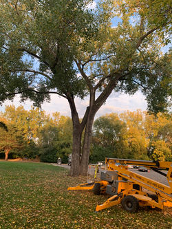 BD75CB07-5D38-4C79-8B3E-9296621C3F1B