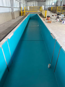 fishery raceway repaired with sandblasted concrete and a blue epoxy coating