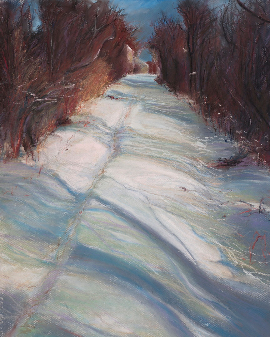 Shadowed Path Pastel 20"x25"