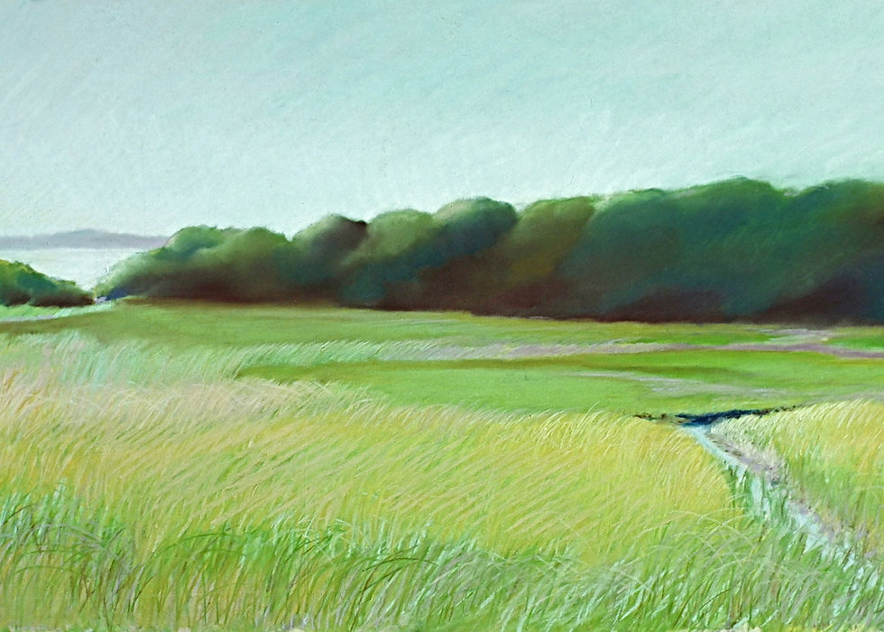 Fence Line