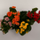 Thumbnail: Kalanchoe Plant (Kalanchoe blossfeldiana)
