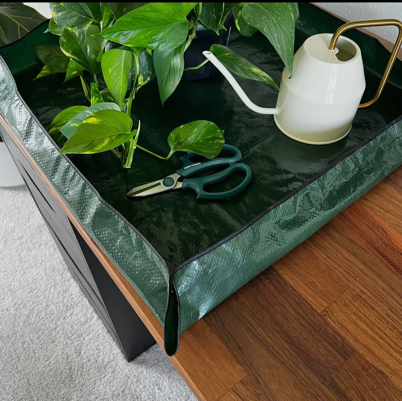 Repotting Mat for Indoor Plants "Grow Green, Stay Clean"