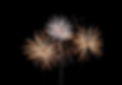 fuegos-artificiales_ca69bcb1_231208192747_1280x890.jpg